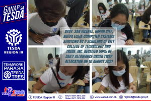 Distribution of Training Allowances of TESDA Nueva Ecija – Brgy. San Vicente Gapan City